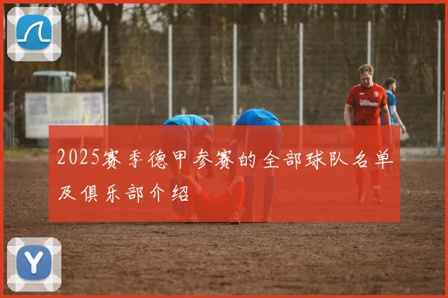2025赛季德甲参赛的全部球队名单及俱乐部介绍