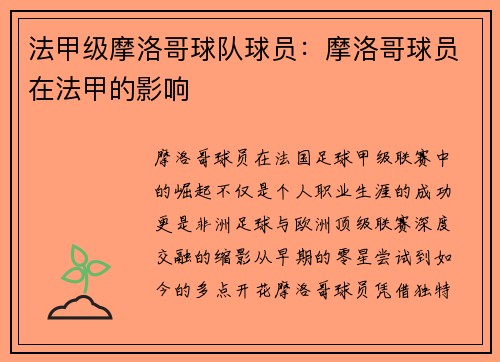 法甲级摩洛哥球队球员：摩洛哥球员在法甲的影响